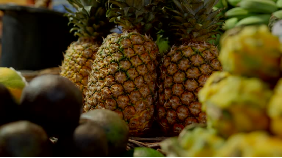 From South America to Southeast Asia: The pineapple's global journey