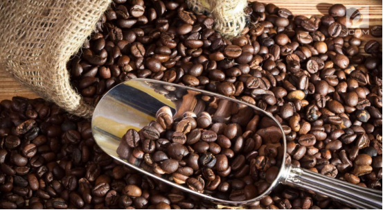 Price advantage and cultural charm: the ultimate value for money at $1