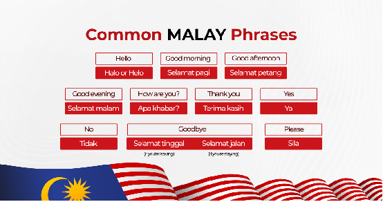 The magic of multilingualism among Malaysian Chinese: the charm and reality of language mixing