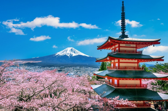 Mastering Japan Travel: Choosing Between Independent, Group, and Chartered Transport